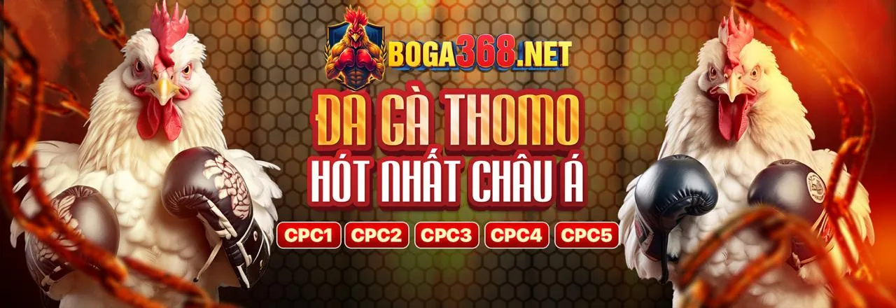 Sân đấu gà trực tuyến Ga888 với những trận đấu kịch tính