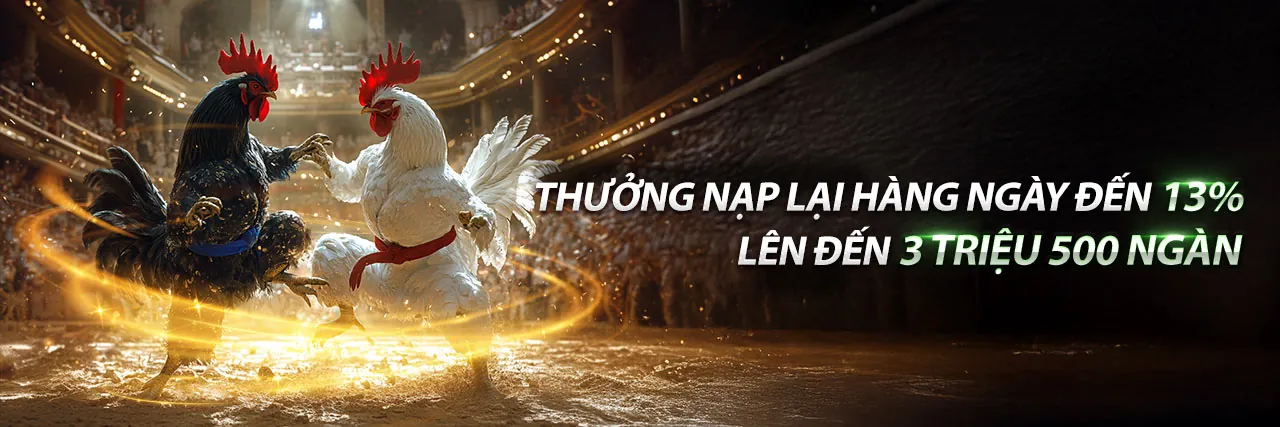 Hình ảnh chiến lược cá cược đá gà GA888