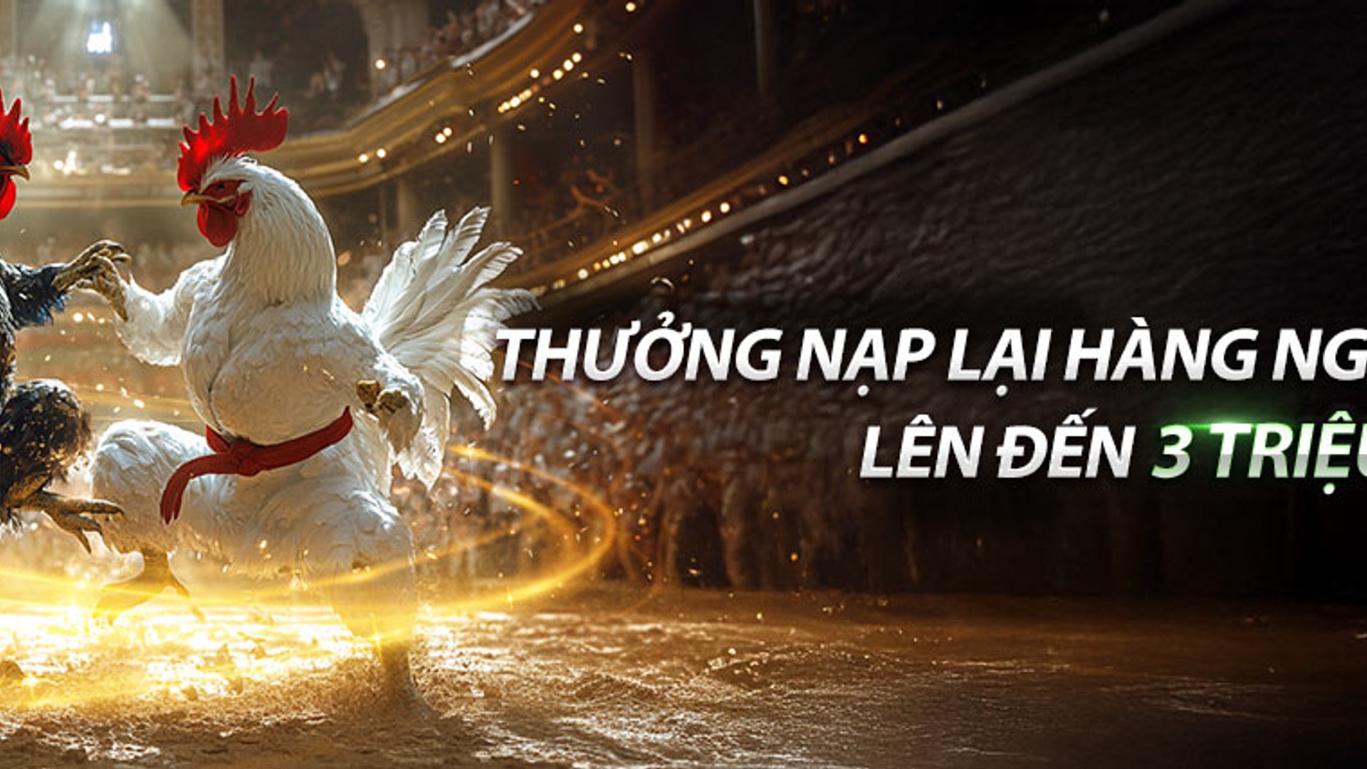 Gà chọi dũng mãnh tại GA888