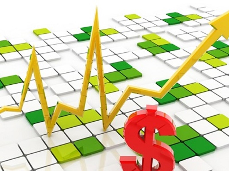 Hình ảnh một con gà chọi đang được phân tích trước trận đấu